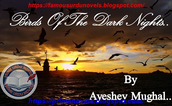 Birds Of The Dark Nights by Ayeshey Mughal