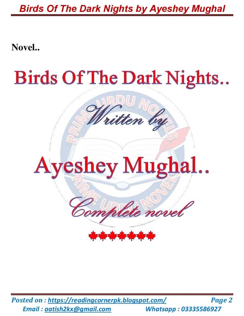 Birds Of The Dark Nights by Ayeshey Mughal