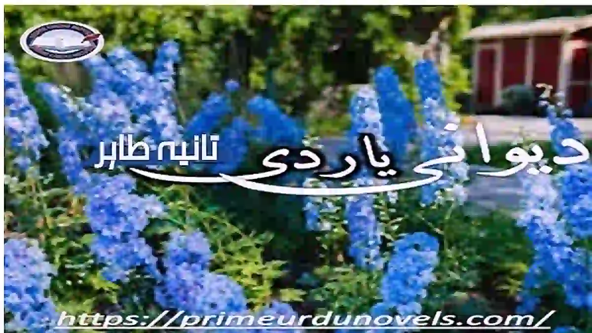 Deewani yaar di by Tania Tahir Complete