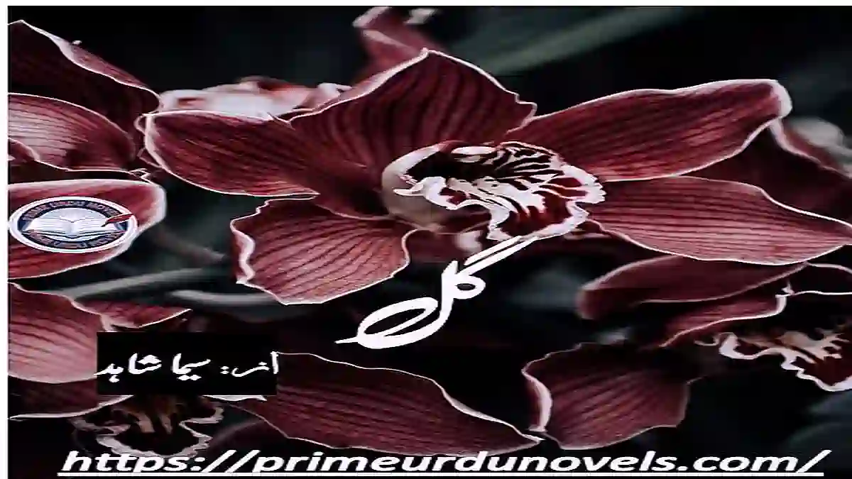 GULL by Seema Shahid Complete