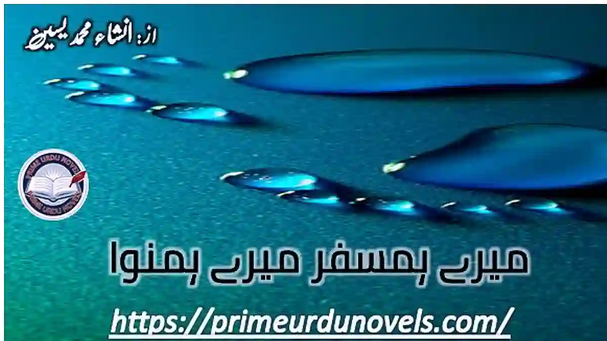 Mere humsafar mere humnawa by Insha Muhammad Yaseen Complete