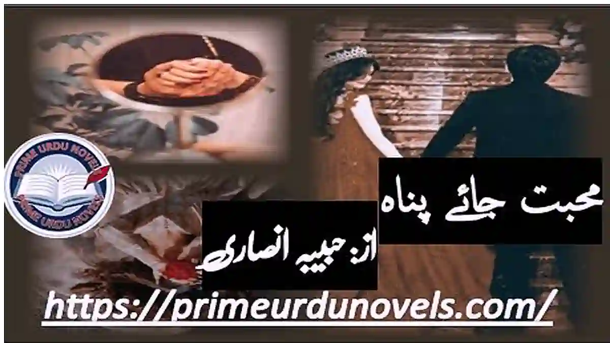 Mohabbat jaye panah by Habiba Ansari Complete