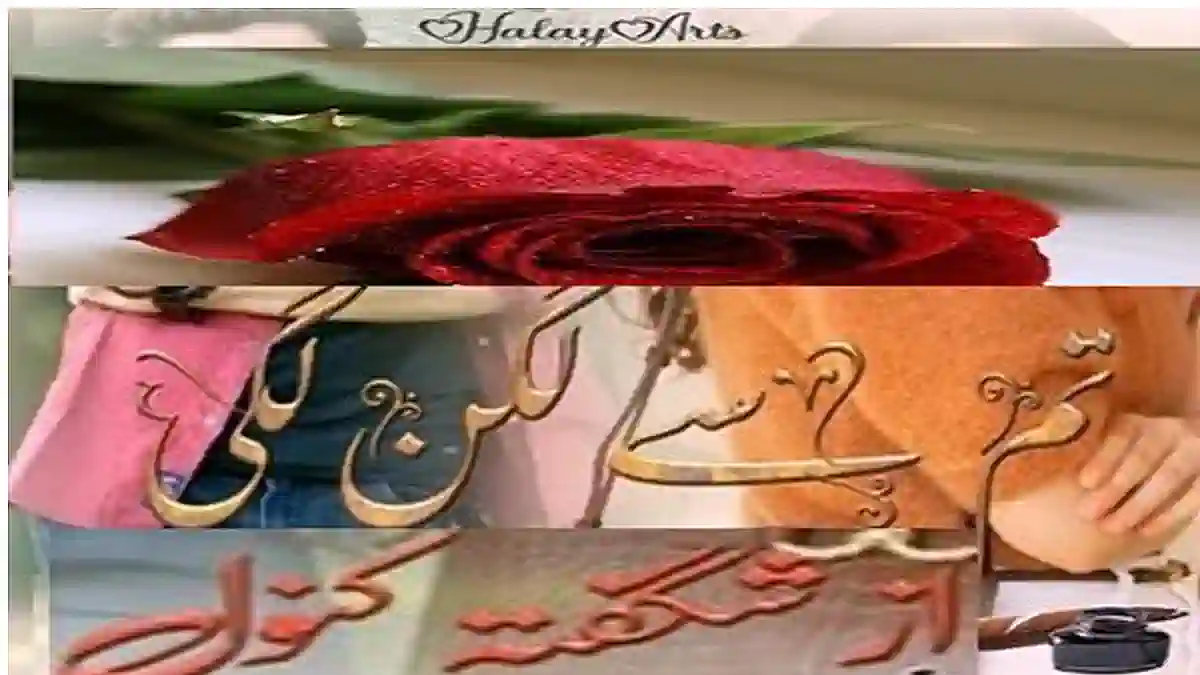 Tum se lagan lagi by Shagufta Kanwal Complete