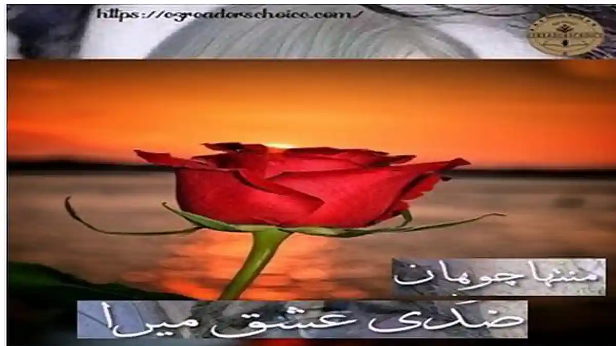 Ziddi ishq mera by Muntaha Chohan Complete