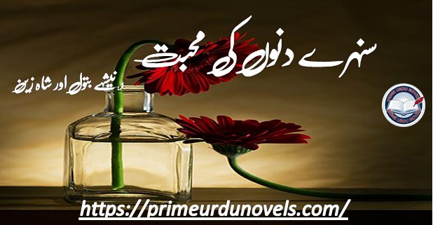 Sunehry dino ki mohabbat by Nishay Batool & Shahzain