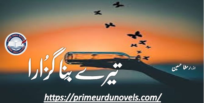 Tery bina guzara by Rimsha Hussain