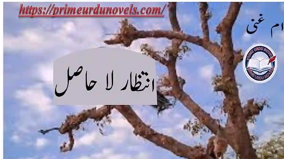 Intizar e la hasil by Umme Ghani Complete