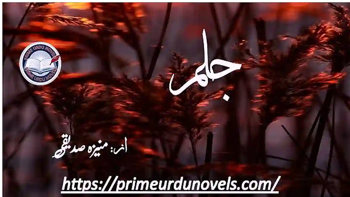 Jalam by Muniza Siddiqie Complete