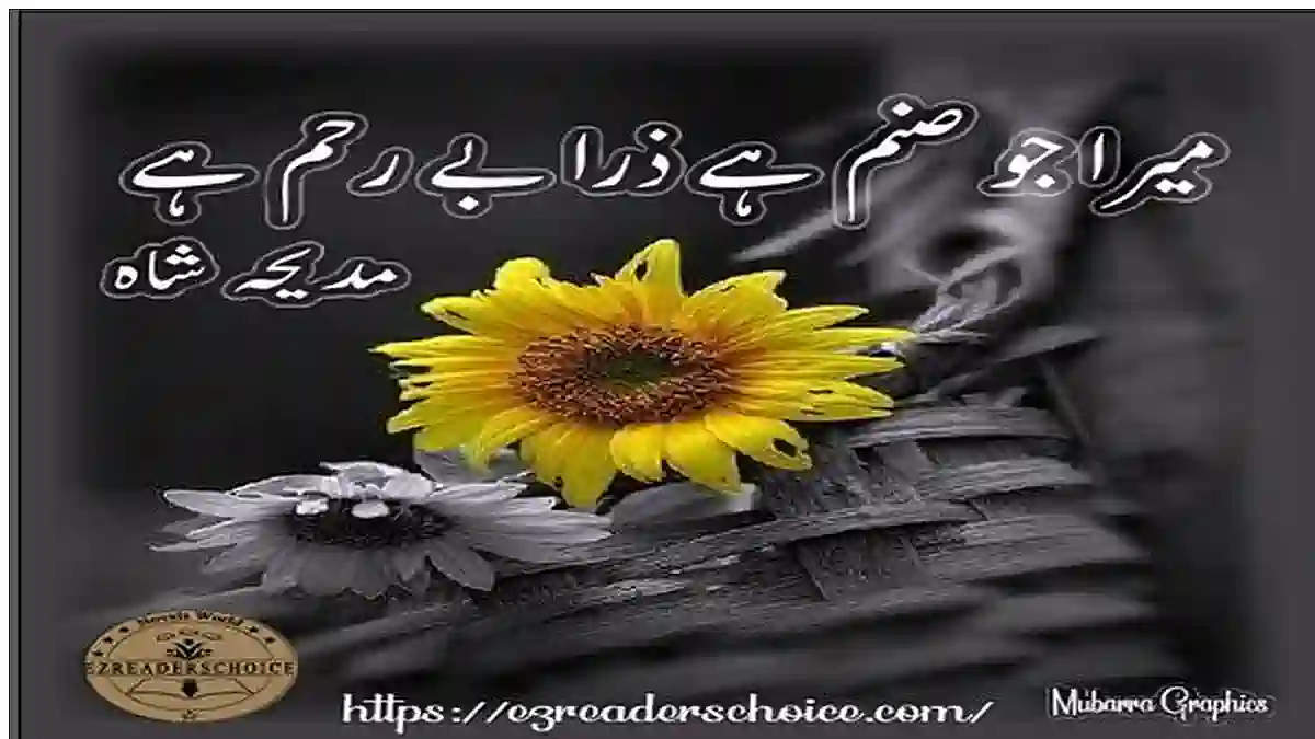 Mera jo sanam hai zara be rehem hai by Madiha Shah Complete