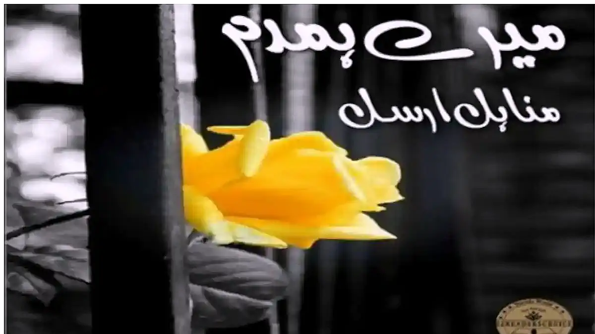 Mery humdam by Minahil Arsal