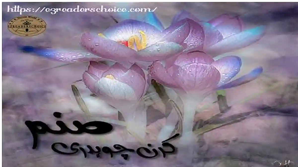 Sanam by Kiran Choudhary Complete