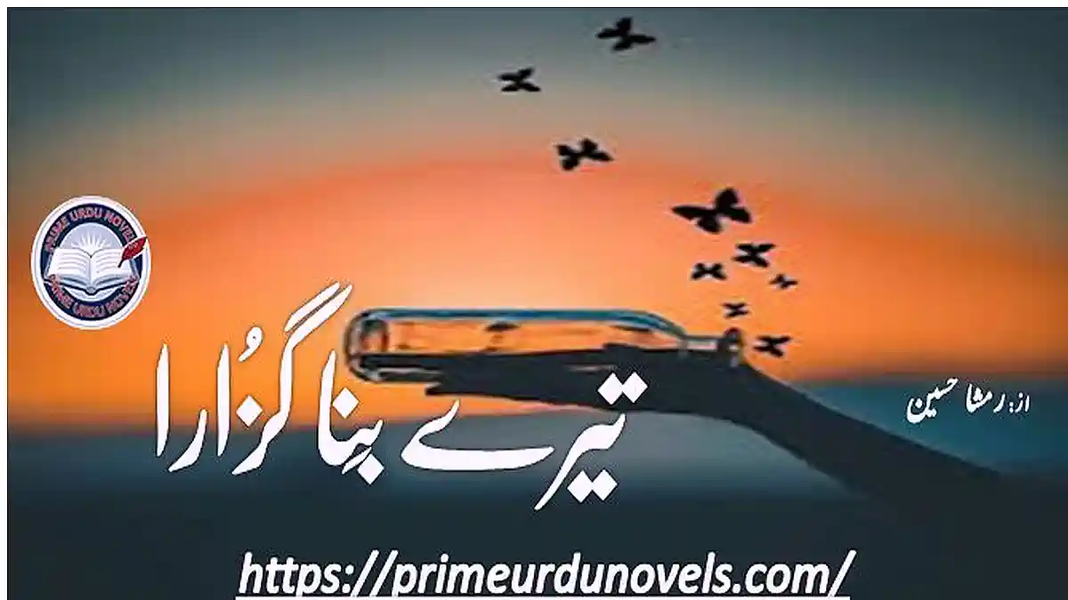 Tery bina guzara by Rimsha Hussain Complete