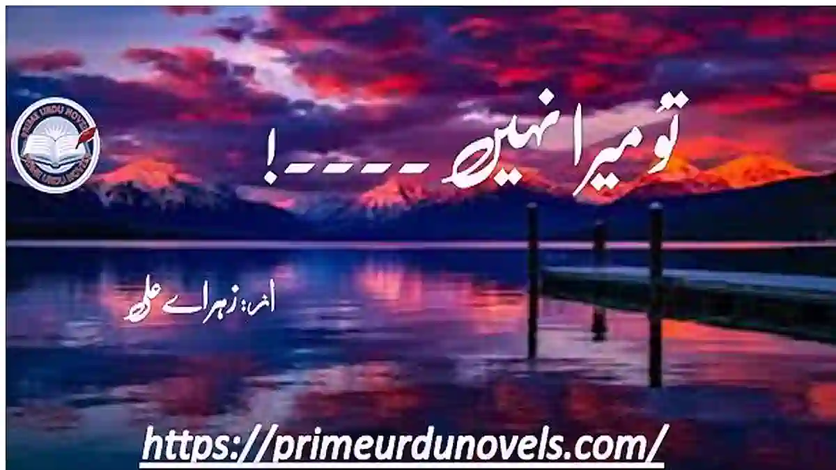 Tu mera nahi by Zahra e Ali Complete