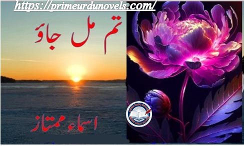 Tum mil jao by Asma Mumtaz