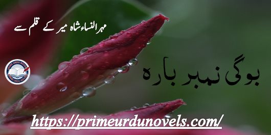 Bogi number bara by Mehrulnisa Shahmeer