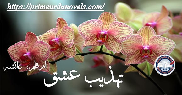 Tehzeeb E ishq by Ayesha