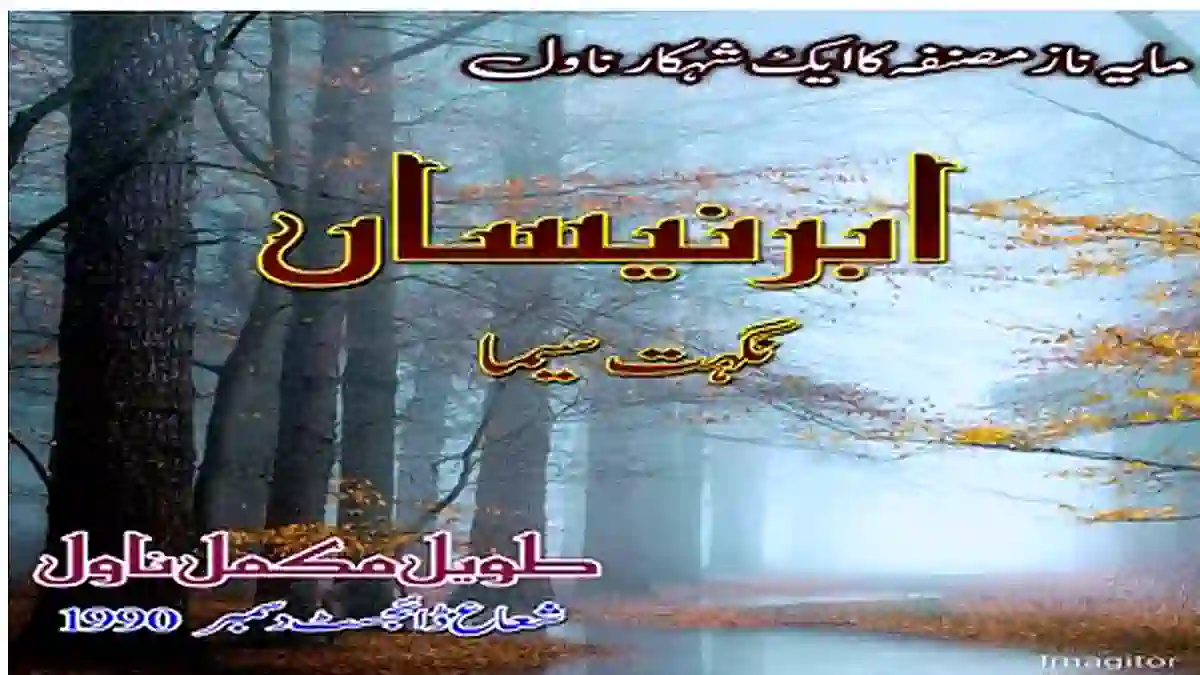 Abar nisaa by Nighat Seema Complete novel download pdf