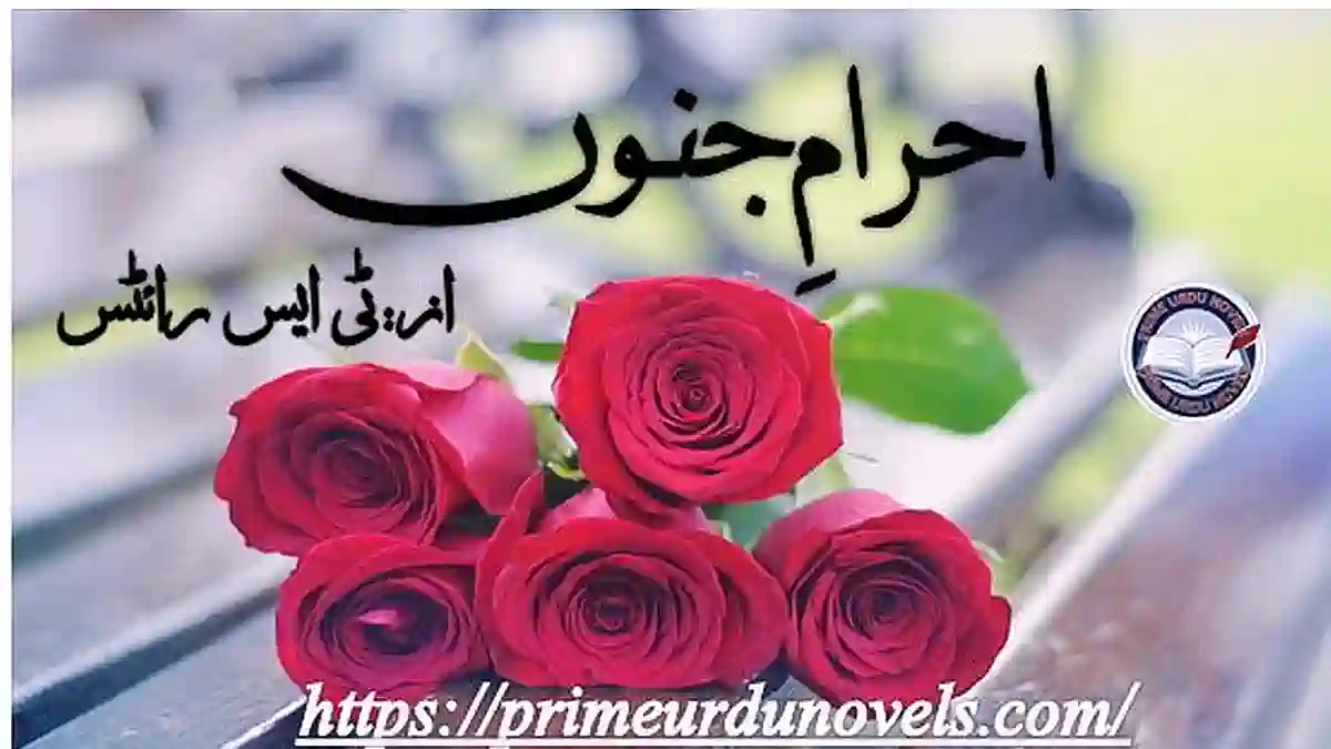 Ehram e junoon by T S Writes Complete novel download pdf