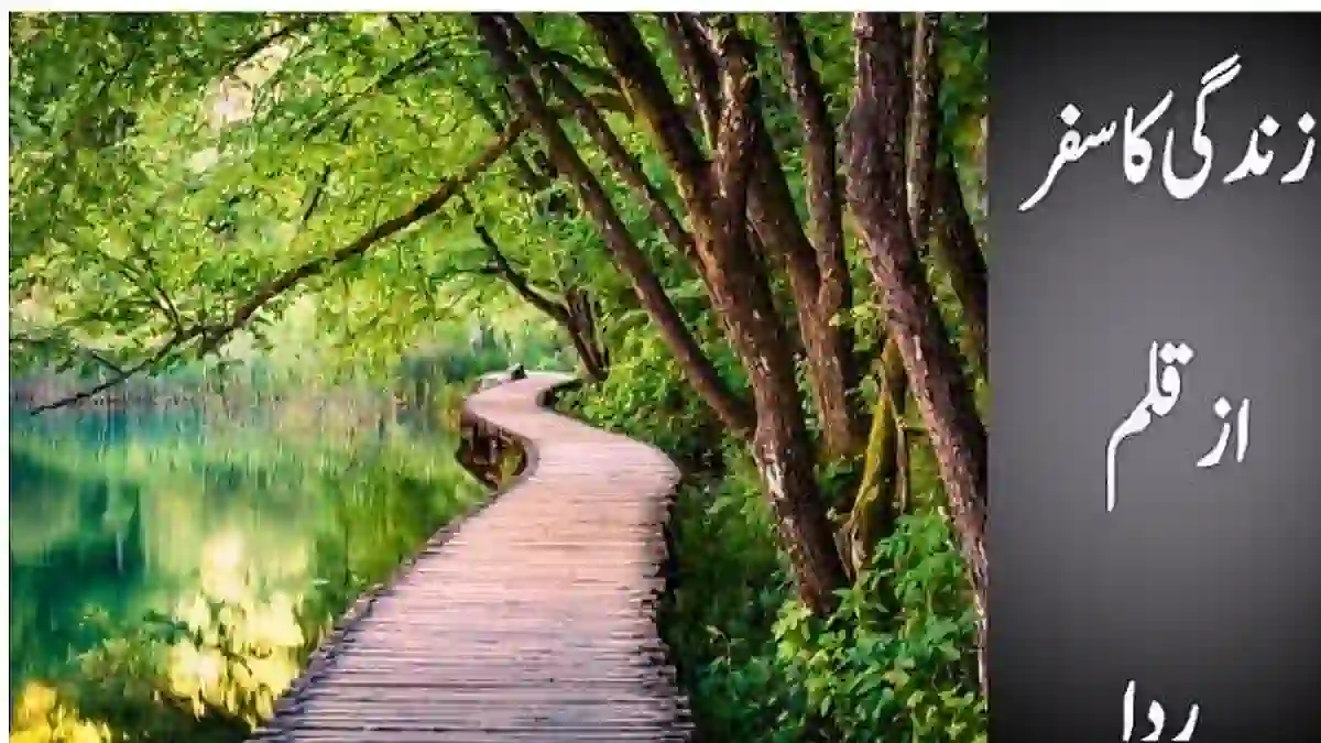 Zindagi ka safar by Rida Complete novel download pdf