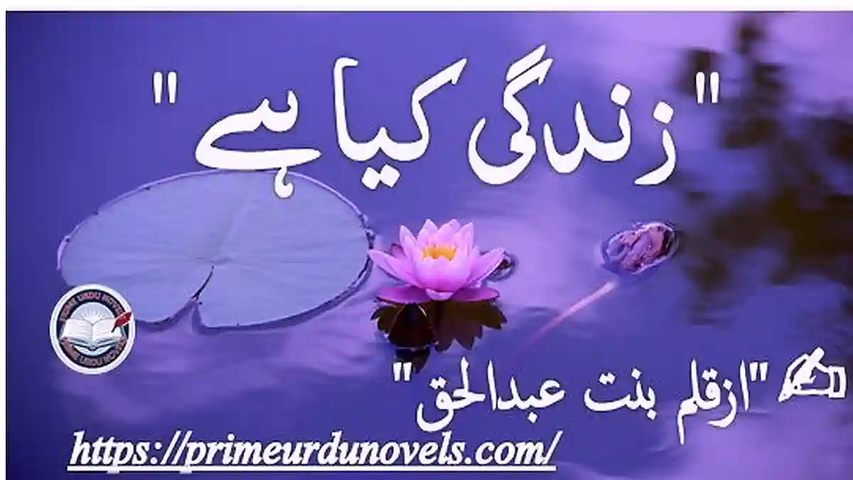 Zindagi kya hai by Bint e Abdul Haq Complete