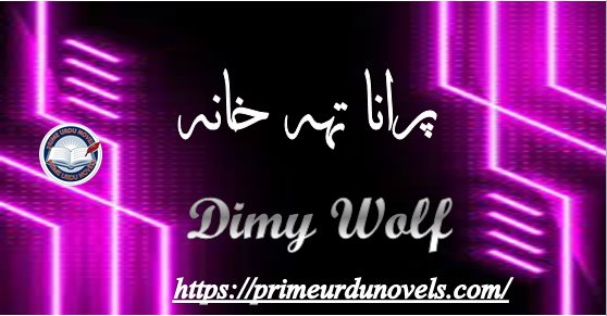 Purana tehkhana by Dimy Wolf