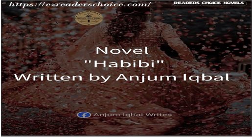 Habibi by Anjum Iqbal