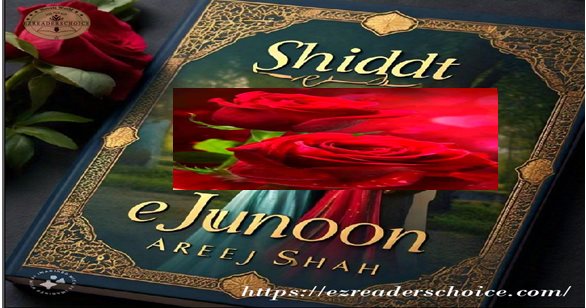 Shidat e junoon by Areej Shah