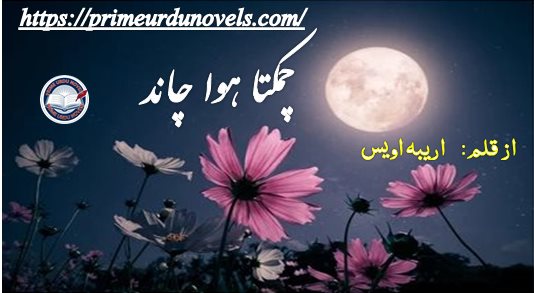 Chamakta hua chand by Areeba Owais