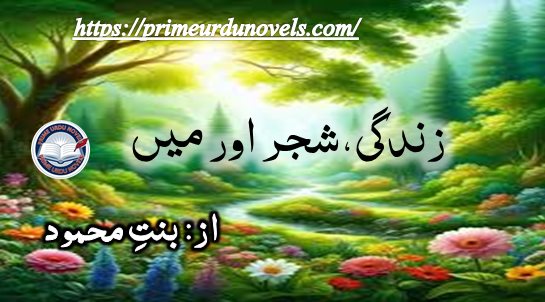 Zindagi shajar aur main by Bint e Mehmood