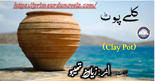 Clay Pot by Zayan Thebo