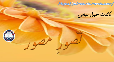 Tasawwur e musawir by Kainat Jameel Abbasi