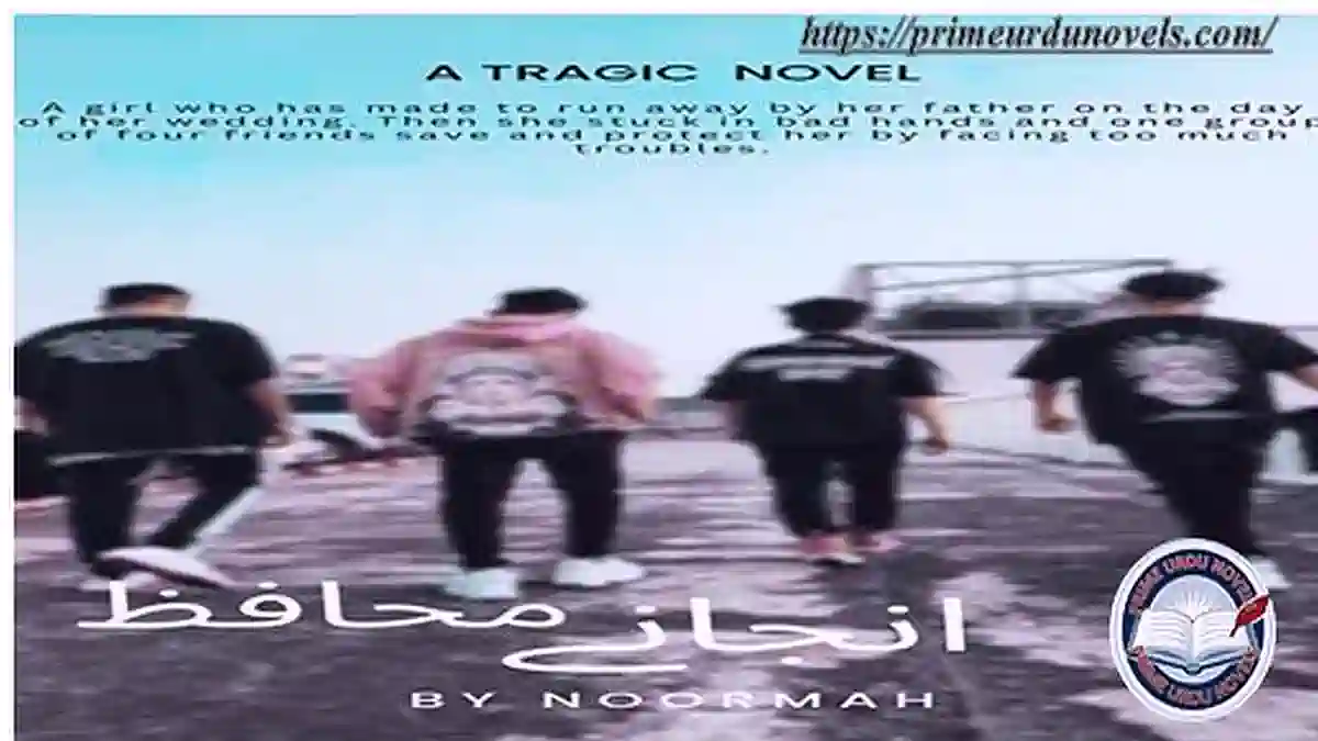 Anjany Muhafiz by NoorMah Complete novel download pdf