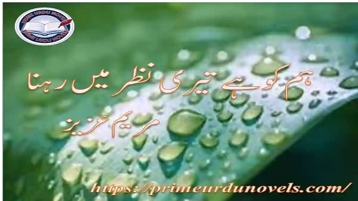 Hum ko hai teri nazar mein rehna by Maryam Aziz Complete novel