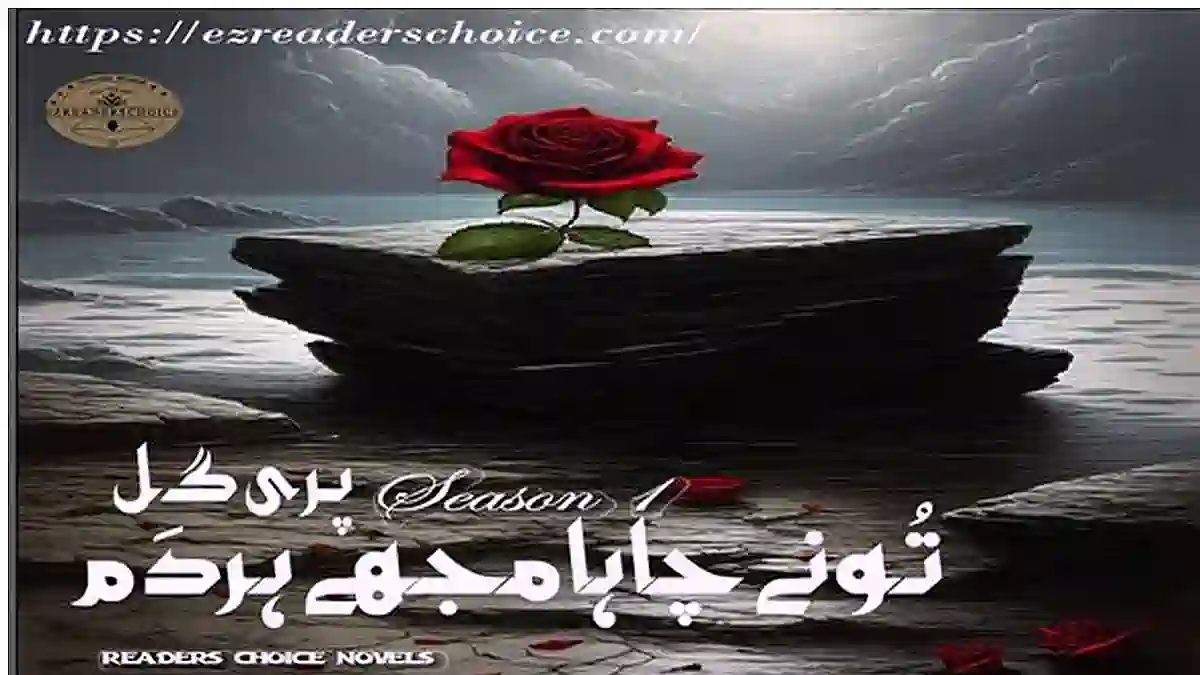 Tu ne chaha mujhy har dum by Pari Gul Season 1 Complete novel download