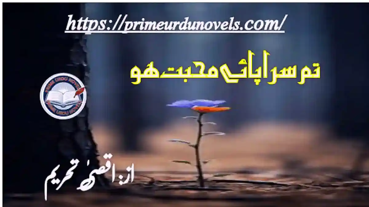 Tum sarapaye mohabbat ho by Aqsa Tehreem