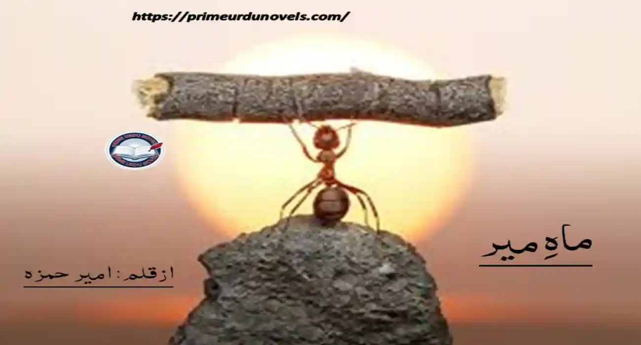 Maah Mir by Amerr Hamza