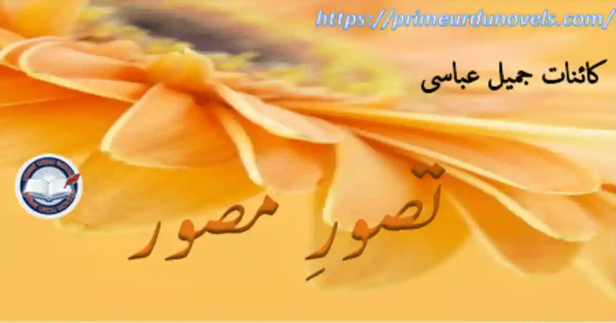 Tasawwur e musawir by Kainat Jameel Abbasi Complete novelette