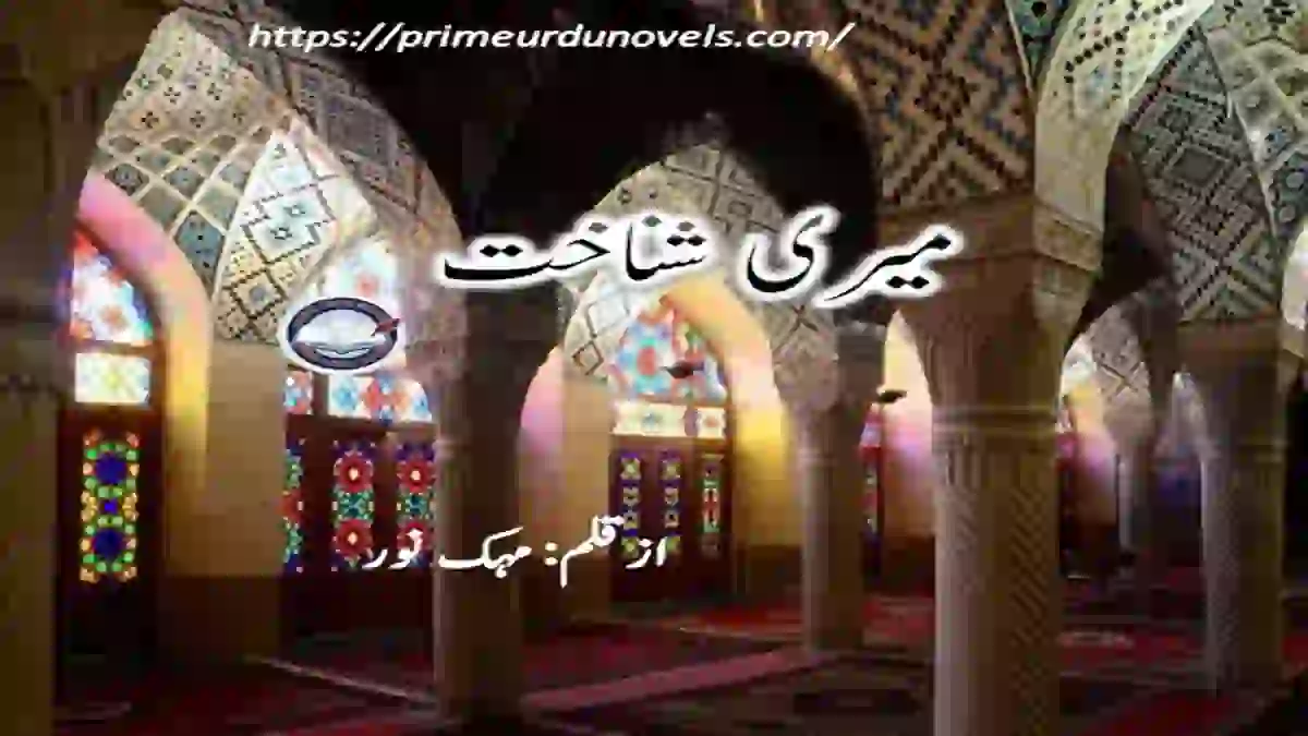 Meri Shanakht by Mehak Noor