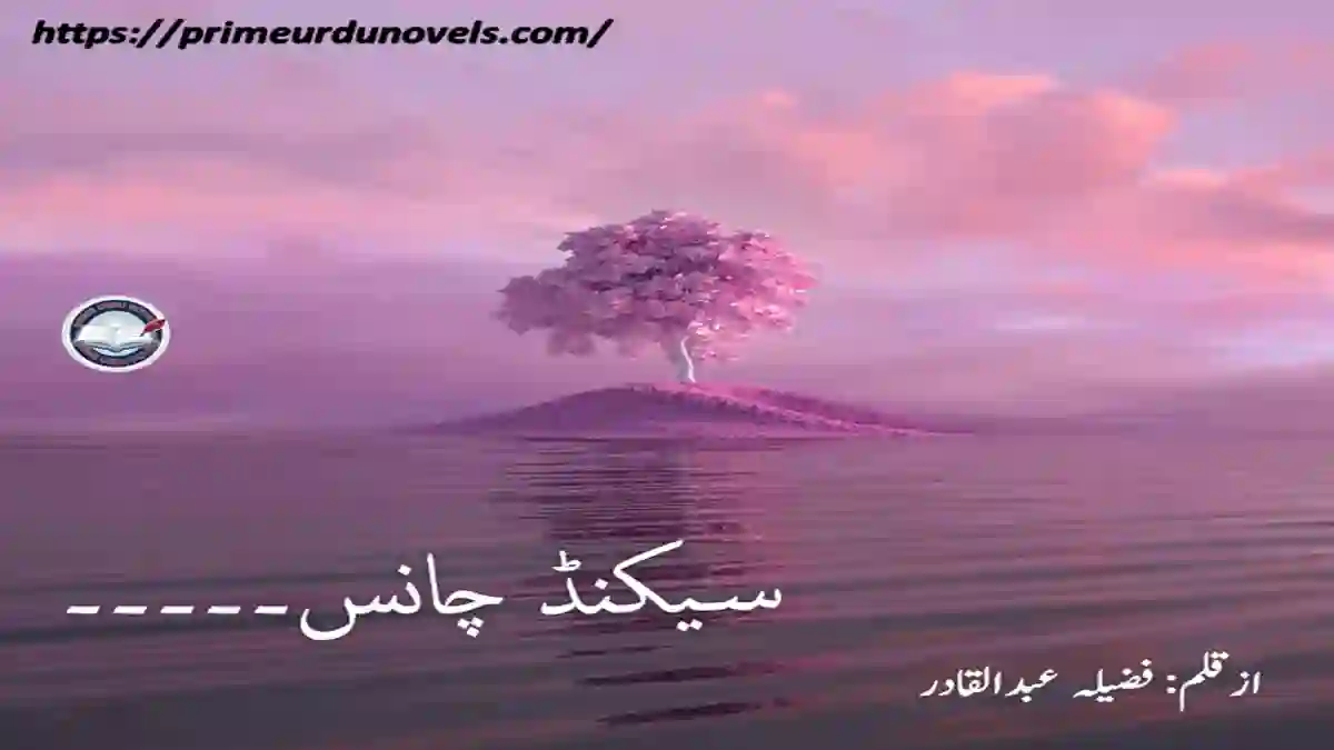 Second chance by Fazila Abdul Qadir