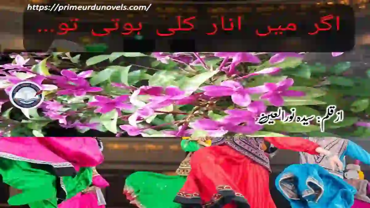 Agar me anar qali hoti to by Syeda Noor-ul-ain