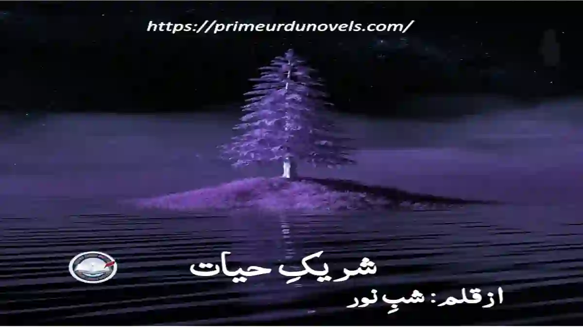 Shareek e hayat by Shabenoor