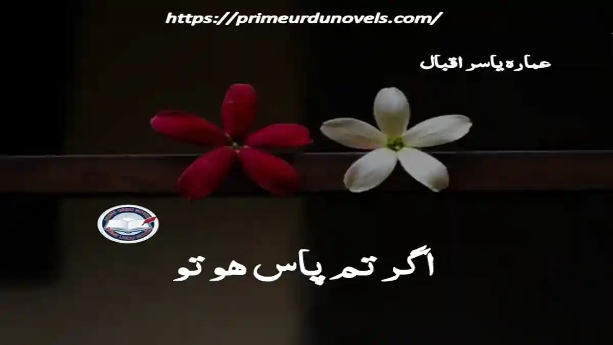 Agar tum pas ho to by Ammara Yasir Iqbal