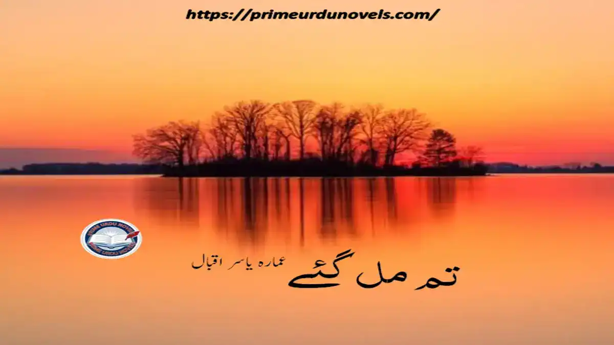Tum mil gaye by Ammara Yasir Iqbal