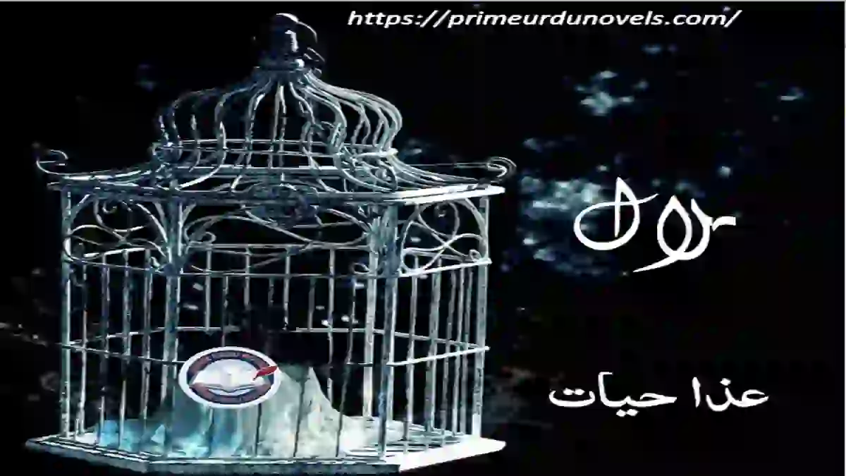 Hilal by Aza Hayat – A Story of Identity, Struggle & Belief"