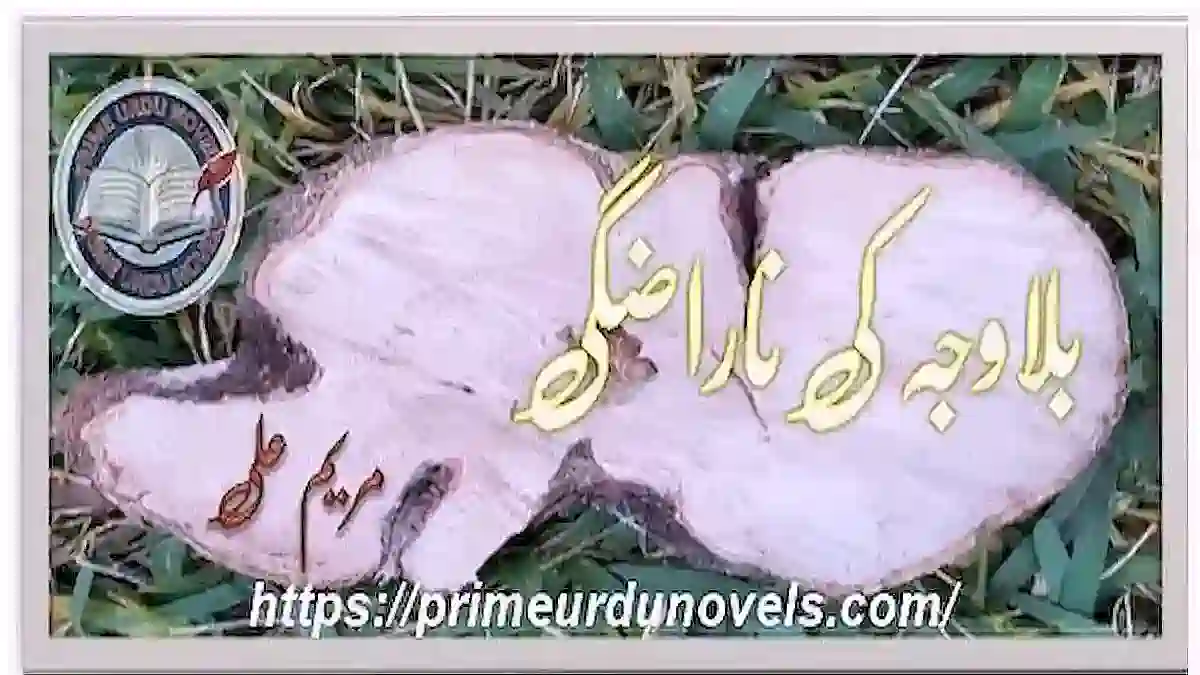 Bilawaja ki narazgi by Maryeam Ali download free pdf