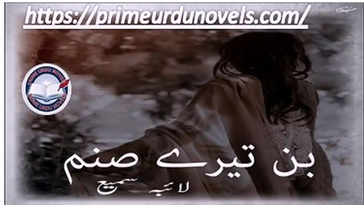 Bin tery sanam by Laiba Sami Complete