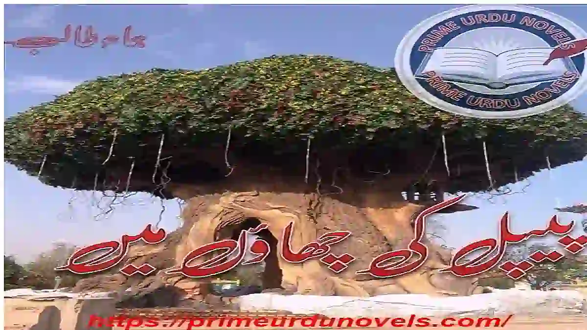Main pagal dewani si by Huma Talib Complete pdf