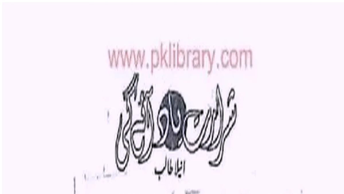 Miyat zameer ki by Anila Talib Complete