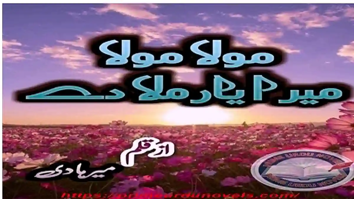 Mola mola mera yaar mila de by Meer Hadi Complete download pdf