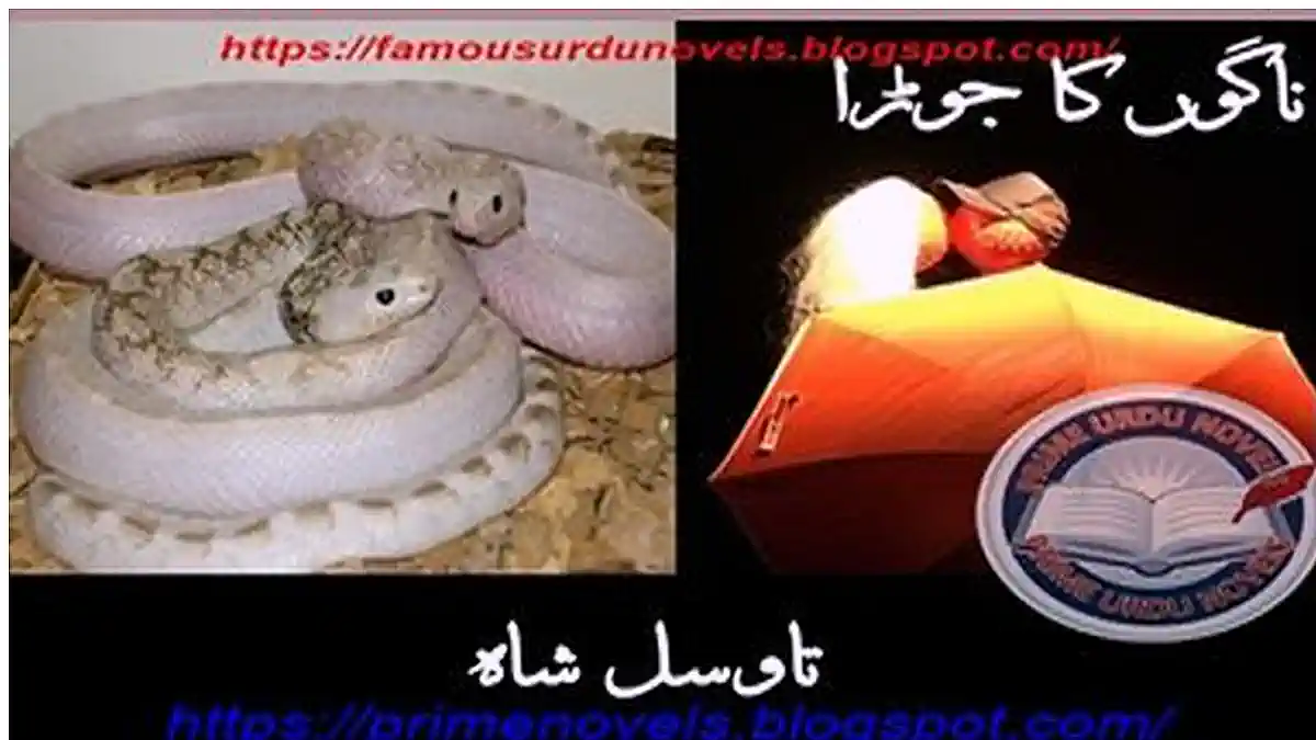 Nago ka jora by Tawasul Shah Complete